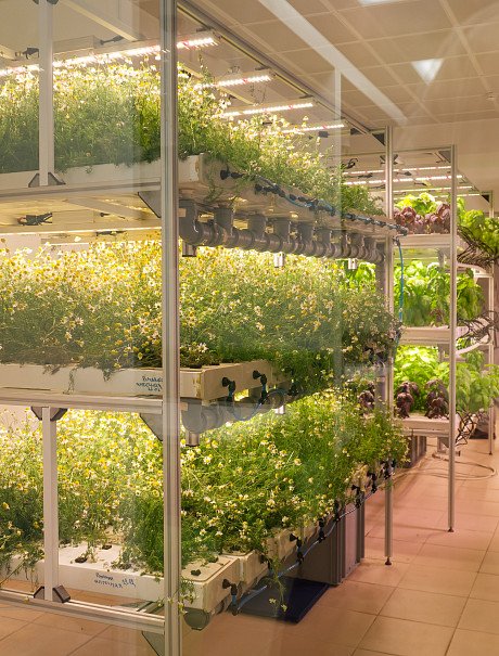 Целевой капитал Передовая инженерная школа ДВФУ